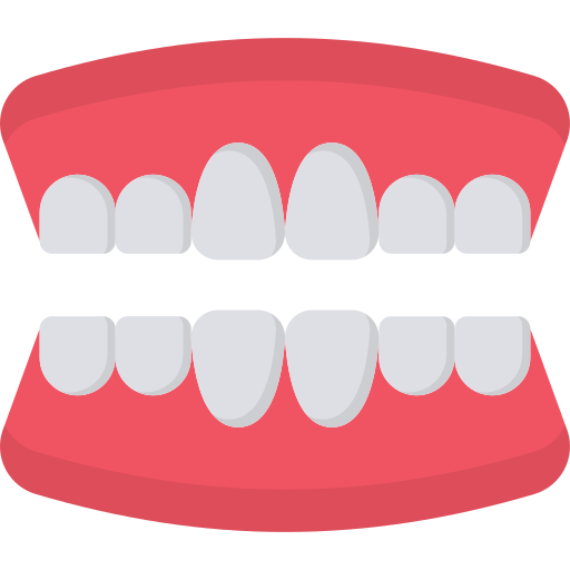 teeth 1